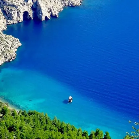 Beach Oasis *