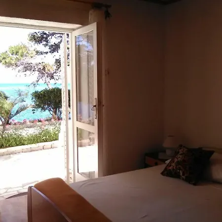 Beach Oasis *