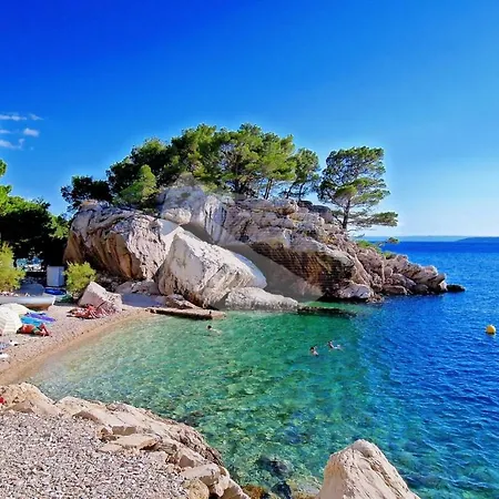 Beach Oasis