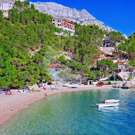 Beach Oasis *